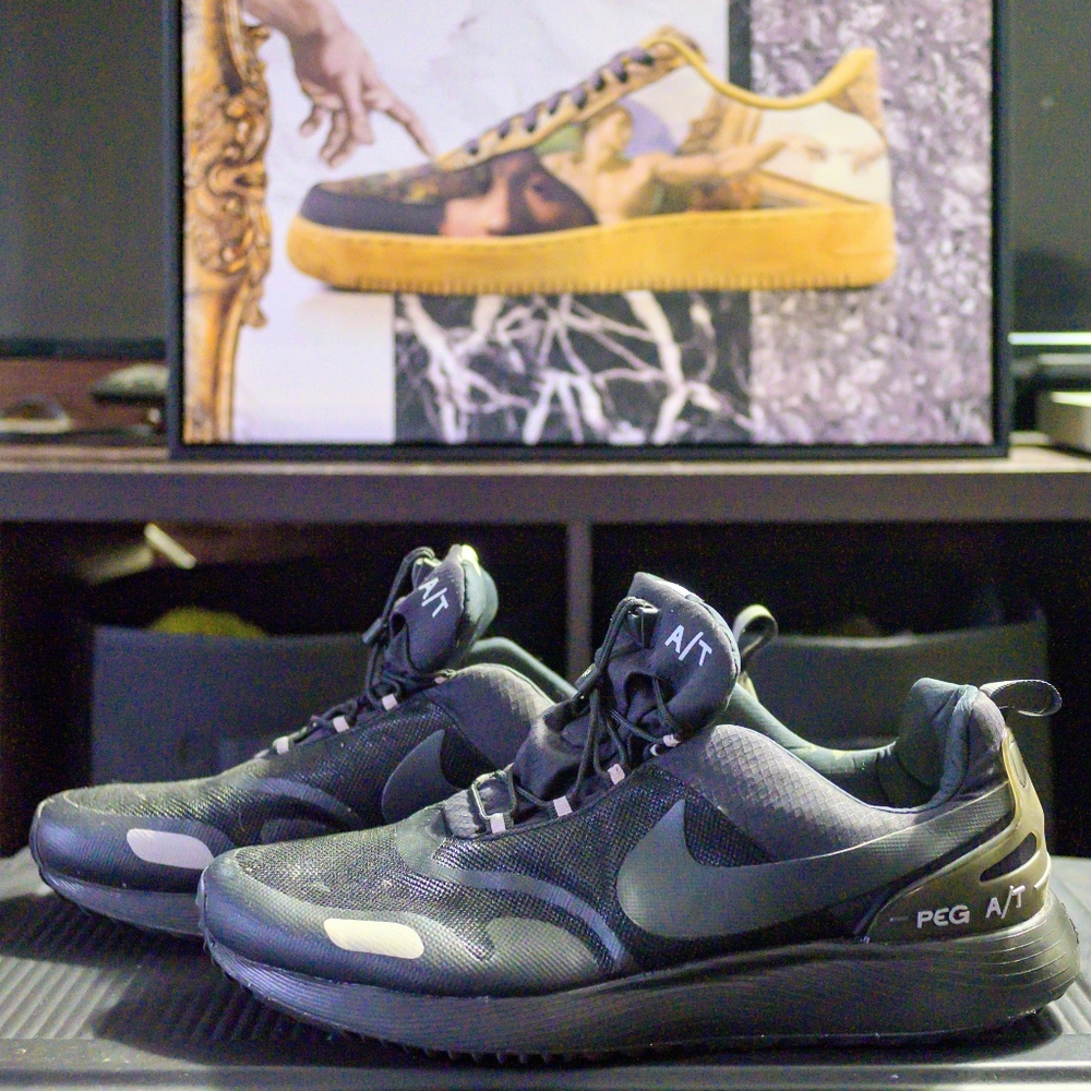 Men's Nike Air Pegasus A/T